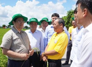 Thành lập Trung tâm đầu mối nông sản và thủy sản nước ngọt vùng Đồng Tháp Mười Thành lập Trung tâm đầu mối nông sản và thủy sản nước ngọt vùng Đồng Tháp Mười