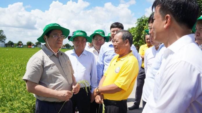 Thành lập Trung tâm đầu mối nông sản và thủy sản nước ngọt vùng Đồng Tháp Mười