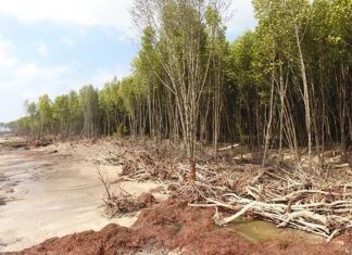 Cà Mau: Công bố tình huống khẩn cấp khi hơn 29km bờ biển sạt lở đặc biệt nguy hiểm
