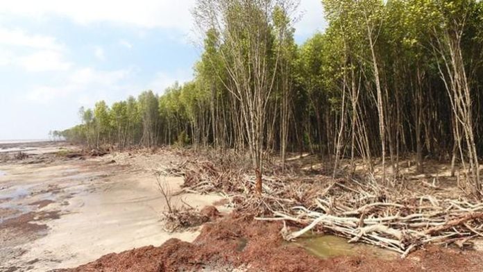Cà Mau: Công bố tình huống khẩn cấp khi hơn 29km bờ biển sạt lở đặc biệt nguy hiểm Cà Mau: Công bố tình huống khẩn cấp khi hơn 29km bờ biển sạt lở đặc biệt nguy hiểm