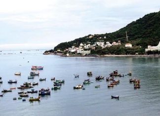 Tri thức bản địa trong văn hóa biển, đảo Việt Nam