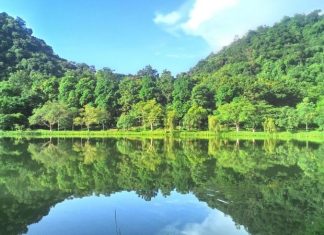 Cúc Phương - Vườn quốc gia hàng đầu châu Á