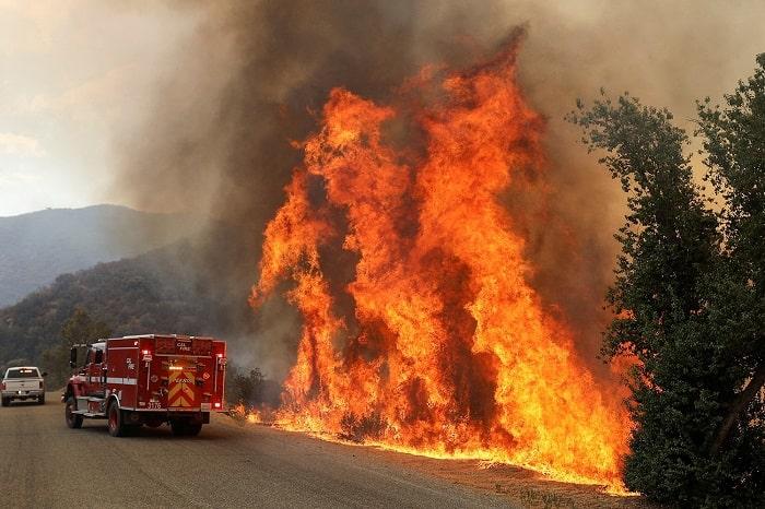 chay rung 3 min - Những đám cháy rừng thảm khốc nhất trong lịch sử nước Mỹ