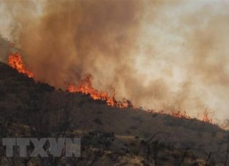 Mỹ: Cháy rừng tại bang California khiến người dân phải sơ tán