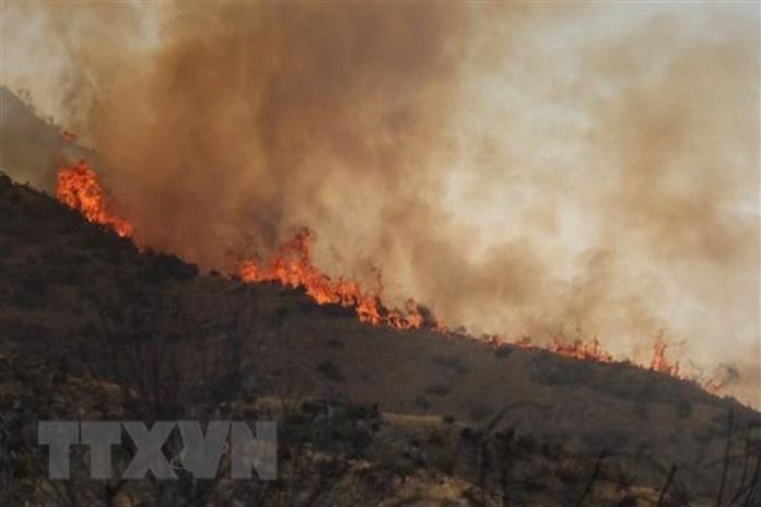 Mỹ: Cháy rừng tại bang California khiến người dân phải sơ tán Mỹ: Cháy rừng tại bang California khiến người dân phải sơ tán