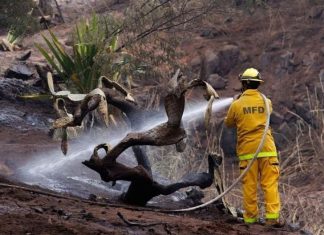 1.100 người mất tích trong thảm họa cháy rừng ở Hawaii