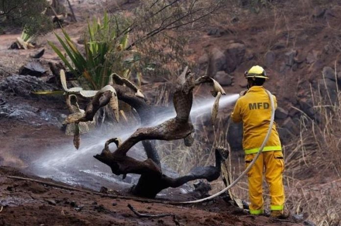 1.100 người mất tích trong thảm họa cháy rừng ở Hawaii