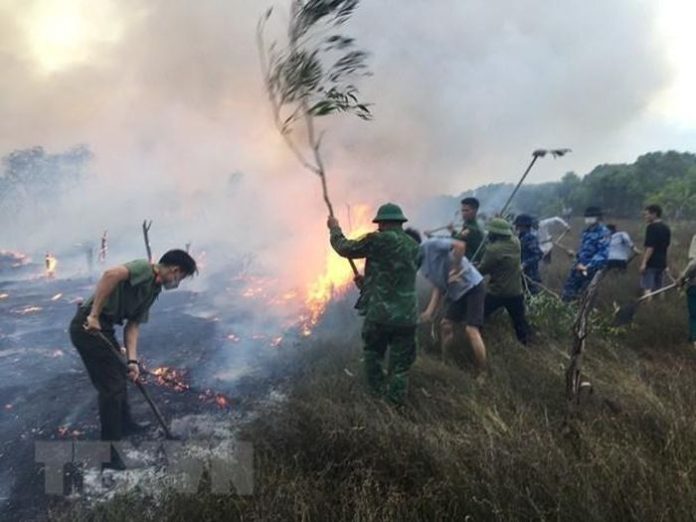 Quảng Trị: Cháy khoảng 30ha rừng phòng hộ ở huyện Triệu Phong Quảng Trị: Cháy khoảng 30ha rừng phòng hộ ở huyện Triệu Phong