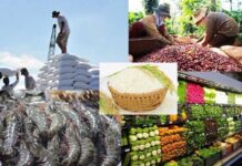 Ngành nông nghiệp phấn đấu đạt mục tiêu xuất khẩu 54 tỷ USD