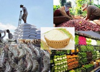 Ngành nông nghiệp phấn đấu đạt mục tiêu xuất khẩu 54 tỷ USD Ngành nông nghiệp phấn đấu đạt mục tiêu xuất khẩu 54 tỷ USD