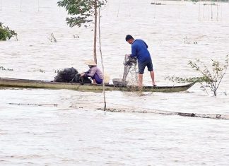 Đón mùa nước nổi Đón mùa nước nổi