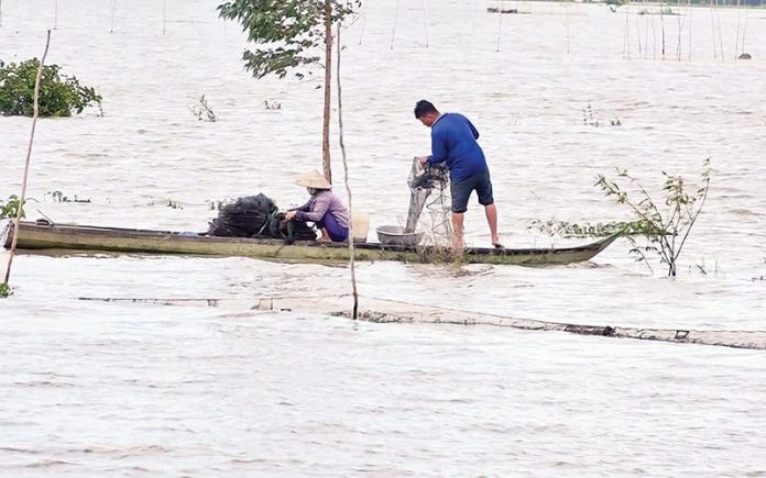 Đón mùa nước nổi