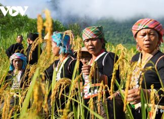 Độc đáo lễ hội Mạ Mạ Mê của người Khơ Mú Lai Châu