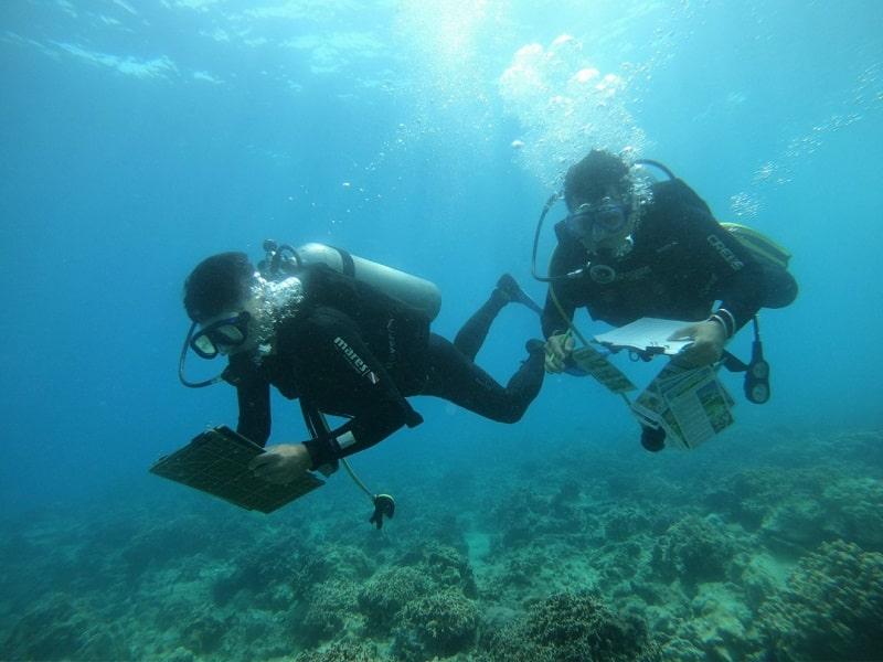Nhóm thợ lặn của Ban Quản lý vịnh Nha Trang kiểm tra sự phục hồi san hô.