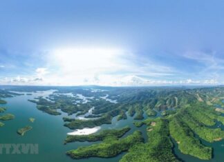 Vườn Quốc gia Tà Đùng - Kỳ quan ấn tượng giữa đại ngàn Tây Nguyên