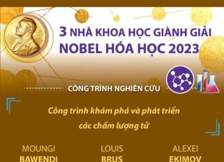 [Infographics] Ba nhà khoa học giành Giải Nobel Hóa học 2023