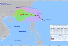 Dự báo bão Koinu: Từ ngày 5/10, vùng gần tâm bão gió cấp 11-12, giật cấp 15, sóng cao biển cao 6-8m; Trung Quốc ứng phó khẩn cấp