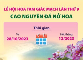 Lễ hội hoa Tam giác mạch lần thứ 9 - Cao nguyên đá nở hoa