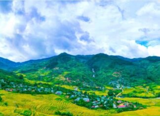 Mùa vàng quanh đỉnh Ngọc Linh - vansudia.net