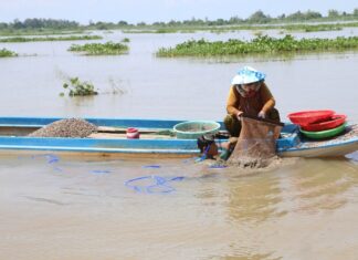 Mưu sinh mùa lũ muộn ở nơi đầu nguồn châu thổ sông Cửu Long