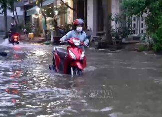Triều cường đạt đỉnh 1,7m, nhiều tuyến đường TP Hồ Chí Minh ngập nặng
