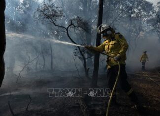 Lũ lụt ở Australia, cháy rừng ở Tây Ban Nha buộc hàng nghìn người phải sơ tán