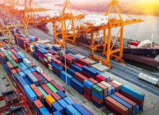 Năm 2024, kinh tế Việt Nam sẽ tăng trưởng 6,5% Năm 2024, kinh tế Việt Nam sẽ tăng trưởng 6,5%