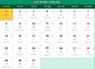 Tết Dương lịch 2024 được nghỉ mấy ngày?