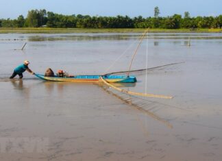 Hình ảnh mưu sinh độc đáo của người dân ĐBSCL mùa nước nổi