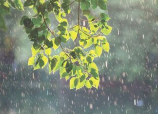 Bản tin dự báo, cảnh báo xu thế thời tiết trên đất liền thời hạn đến 10 ngày (Từ đêm 03/11 đến ngày 13/11)