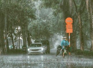 Bản tin dự báo, cảnh báo xu thế thời tiết