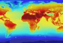 COP 28 thúc đẩy tầm nhìn chung về một tương lai carbon thấp