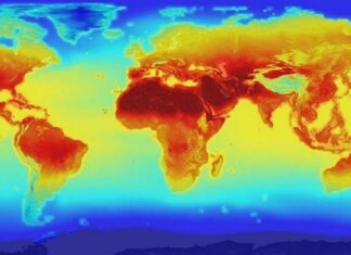 COP 28 thúc đẩy tầm nhìn chung về một tương lai carbon thấp