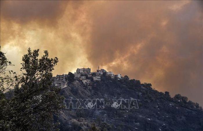 Chay rung thieu rui 41000 ha tai Algeria - Cháy rừng thiêu rụi 41.000 ha tại Algeria trong năm 2023