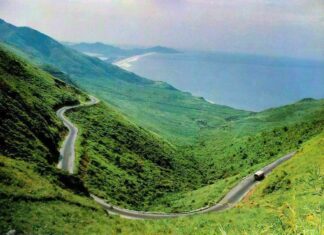 'Lá đỏ' - Một hồn thơ đa cảm, tài hoa