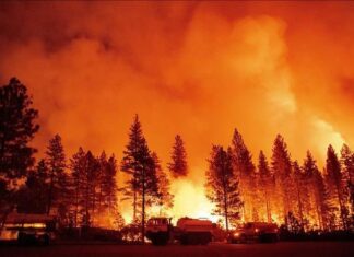 Hàng nghìn người sơ tán vì cháy rừng lan rộng ở bang California