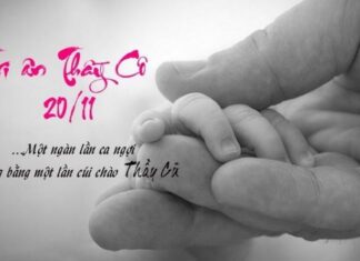 Nguồn gốc, ý nghĩa của ngày Nhà giáo Việt Nam Nguồn gốc, ý nghĩa của ngày Nhà giáo Việt Nam