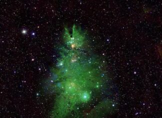 NASA công bố hình ảnh 'cây thông Noel' lấp lánh giữa Ngân hà