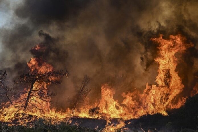 Hàng trăm người nỗ lực khống chế cháy rừng tại Nam Phi