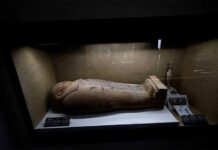 Một trong những bảo tàng khảo cổ đẹp nhất Ai Cập mở cửa trở lại