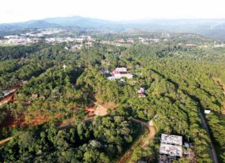 Tây Nguyên: Nhận diện giải pháp đột phá trong phát trển vùng xanh bền vững