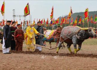 Bảo tồn Lễ hội Tịch điền - Đọi Sơn gắn với phát triển du lịch quốc gia