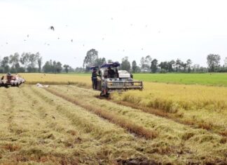 Khai mạc Triển lãm Con đường Lúa gạo Việt Nam ở Hậu Giang Khai mạc Triển lãm Con đường Lúa gạo Việt Nam ở Hậu Giang