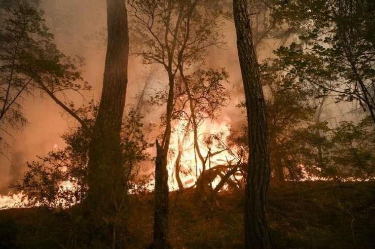 chay rung tham khoc min - Năm 2023 - năm của những vụ cháy rừng thảm khốc