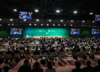 Lộ diện hai nước chủ nhà hội nghị khí hậu COP29 và COP30