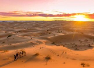 10 sự thật thú vị về sa mạc Sahara