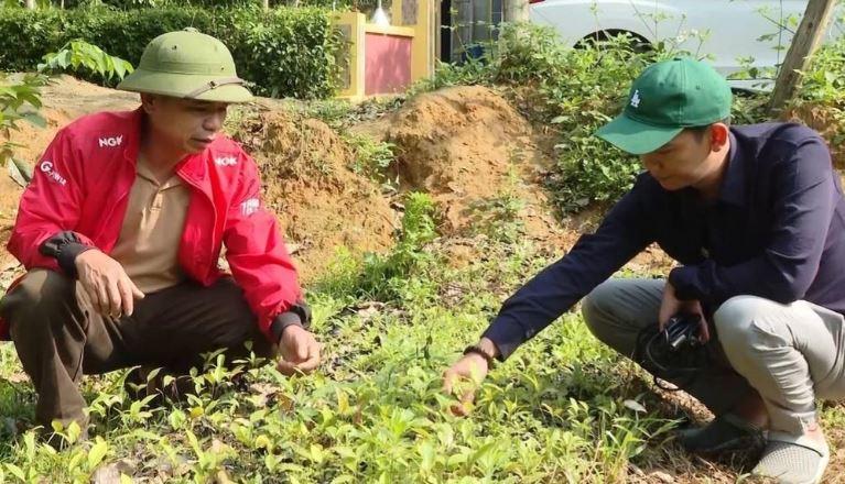 tin chi carbon rung 2 min - Việt Nam thu gần 1.250 tỷ đồng trong lần đầu tiên bán tín chỉ carbon rừng