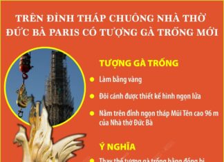 Tượng gà trống mới trên đỉnh tháp chuông Nhà thờ Đức Bà Paris