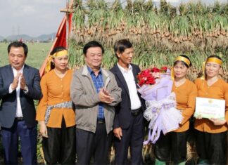 Bộ trưởng Lê Minh Hoan: Để củ hành, củ tỏi Kinh Môn không chỉ là một loại gia vị