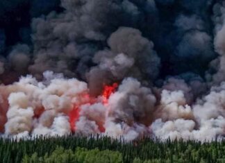 Cháy rừng tại Canada khủng khiếp đến mức nào?
